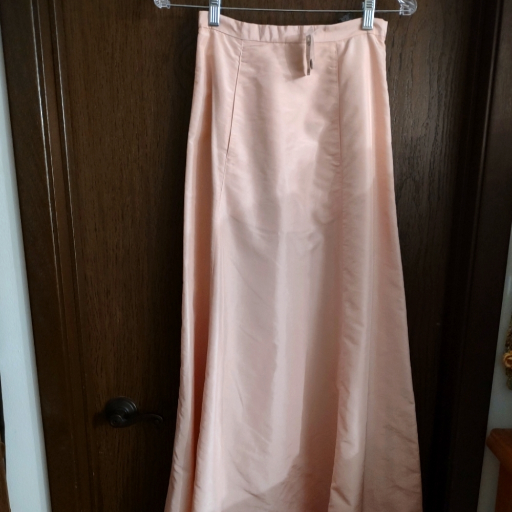 Vintage Express Formal Skirt